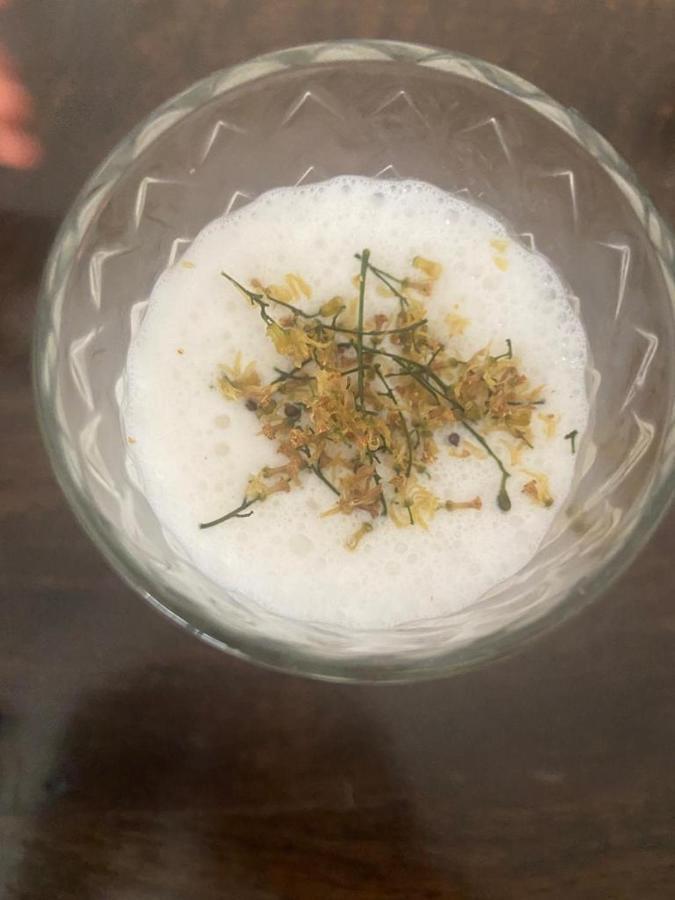 Chandera Kothi 오르차 외부 사진