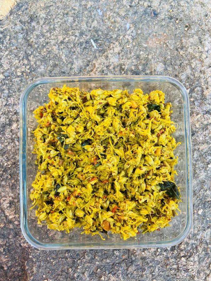 Chandera Kothi 오르차 외부 사진
